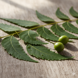 Neem