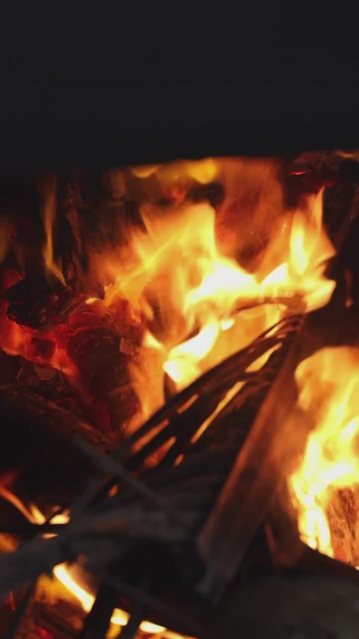 Kesha Raksha Ayurvedic Hair Oil - made with 49 herbs - for healthy scalp and strong hair